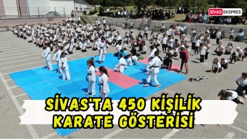 Sivas'ta 450 Kişilik Karate Gösterisi