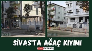 Sivas'ta Ağaç Kıyımı