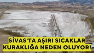 Sivas'ta Aşırı Sıcaklar Kuraklığa Neden Oluyor!