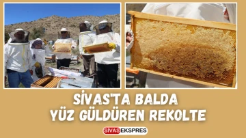 Sivas'ta Balda Yüz Güldüren Rekolte