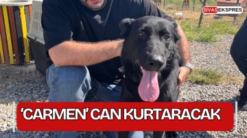 Sivas'ta ‘Carmen’ Can Kurtaracak