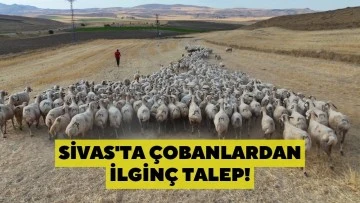 Sivas'ta Çobanlardan İlginç Talep!