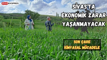 Sivas'ta Ekonomik Zarar Yaşanmayacak