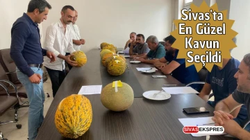 Sivas'ta En Güzel Kavun Seçildi