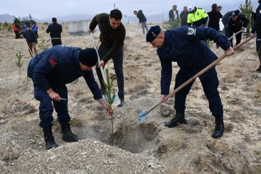 Sivas'ta Fidanlar Toprakla Buluştu