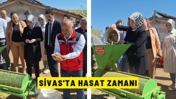 Sivas'ta Hasat Zamanı