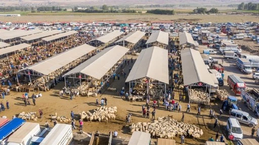 Sivas'ta Hayvan Pazarına Saat Düzenlemesi