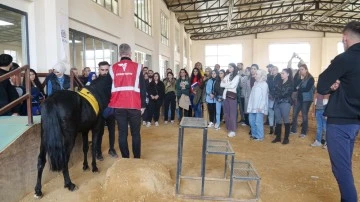 Sivas'ta Hippoterapi Eğitiminin İlki Gerçekleştirildi