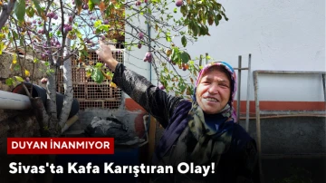 Sivas'ta Kafa Karıştıran Olay!