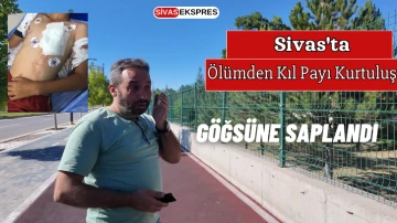 Sivas'ta Ölümden Kıl Payı Kurtuluş, Göğsüne Saplandı