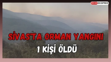 Sivas'ta Orman Yangını: 1 Kişi Öldü