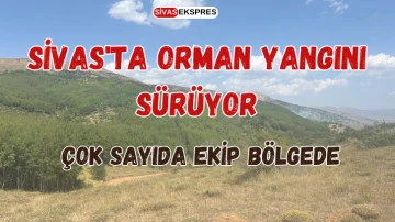 Sivas'ta Orman Yangını Sürüyor, Çok sayıda Ekip Bölgede