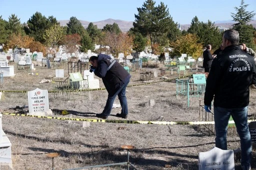 Sivas'ta Parçalanmış Halde Bulunan Bebeği Köpekler Değil Tilki Çıkarmış