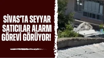 Sivas’ta Seyyar Satıcılar Alarm Görevi Görüyor! 