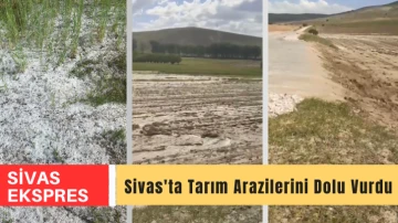 Sivas'ta Tarım Arazilerini Dolu Vurdu