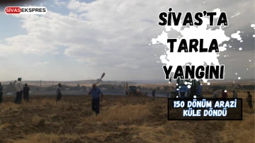 Sivas’ta Tarla Yangını: 150 Dönüm Arazi Küle Döndü