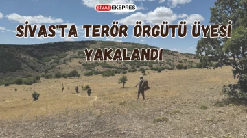 Sivas'ta Terör Örgütü Üyesi Yakalandı