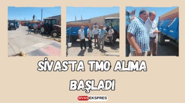 Sivas'ta TMO Alıma Başladı