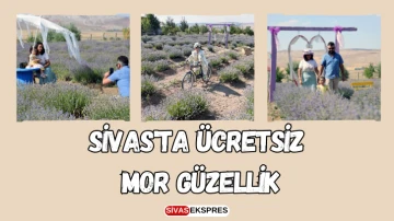 Sivas'ta Ücretsiz Mor Güzellik
