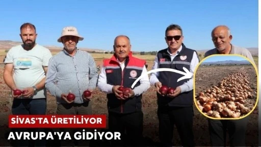 Sivas'ta Üretiliyor Avrupa'ya Gidiyor