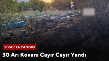 Sivas’ta Yangın! 30 Arı Kovanı Cayır Cayır Yandı