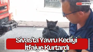 Sivas'ta Yavru Kediyi İtfaiye Kurtardı