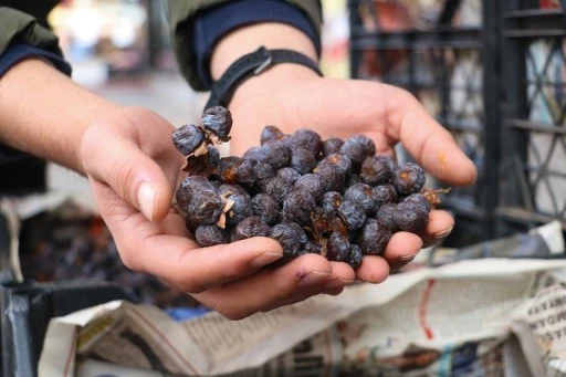 Sivas'ta Yetişen Bu Meyve Çürüyünce Yeniliyor