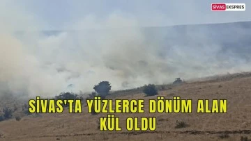 Sivas'ta Yüzlerce Dönüm Alan Kül Oldu