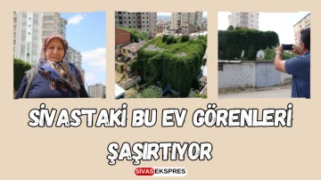 Sivas'taki Bu Ev Görenleri Şaşırtıyor