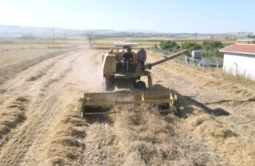 Sivas'tan Tedarik Edilen Tohumlar Çiftçiye Dağıtalacak
