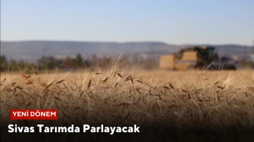 Sivas Tarımda Parlayacak