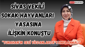 Sivas Vekili Sokak Hayvanları Yasasına İlişkin Konuştu