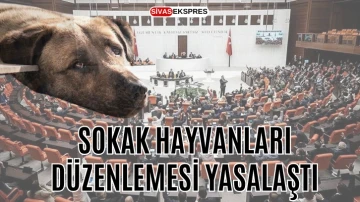 Sokak Hayvanları Düzenlemesi Yasalaştı