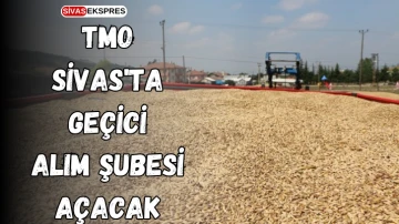 TMO Sivas'ta Geçici Alım Şubesi Açacak