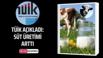 Tüik Açıkladı: Süt Üretimi Arttı