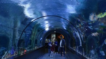 Tünel Akvaryum'a Ziyaretçi Akını