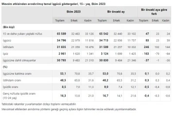 Türkiye'de İşsizlik Seviyesi Düştü