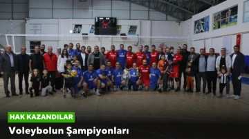 Voleybolun Şampiyonları