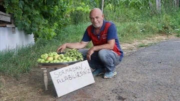 Yaptığı ile Gönüllere Dokunuyor