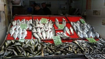 Yasak Sonrası Balık Fiyatları Arttı