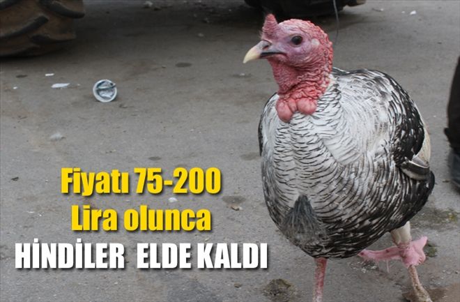 Fiyatı 75-200 Lira olunca  HİNDİLER  ELDE KALDI