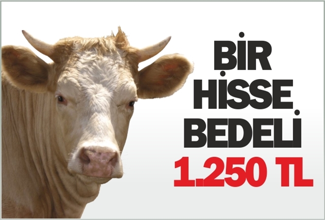 BİR HİSSE BEDELİ 1.250 TL