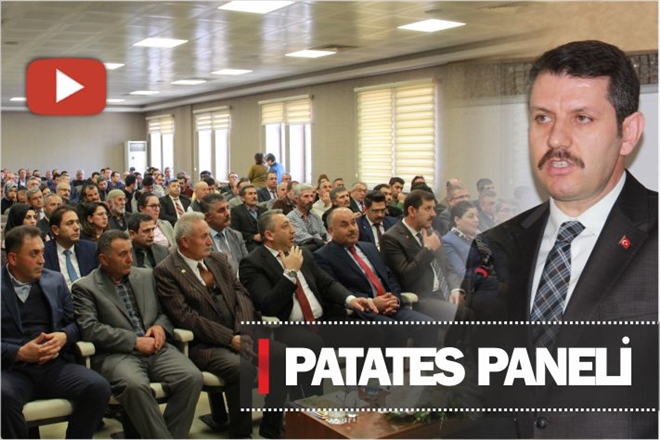 PATATES PANELİ