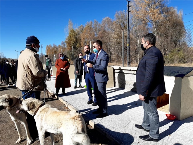 SOKAK HAYVANLARINA SICAK YUVA