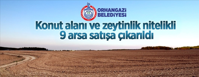 Orhangazi Belediyesi konut alanı ve zeytinlik nitelikli 9 adet taşınmazı ihale usulü ile satışa çıkardı