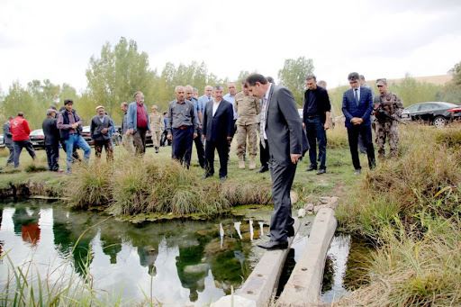 HAYALİM KALKIM BALIKLI KAPLICA