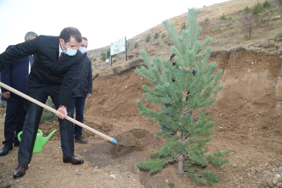 SİVAS YEMYEŞİL OLACAK