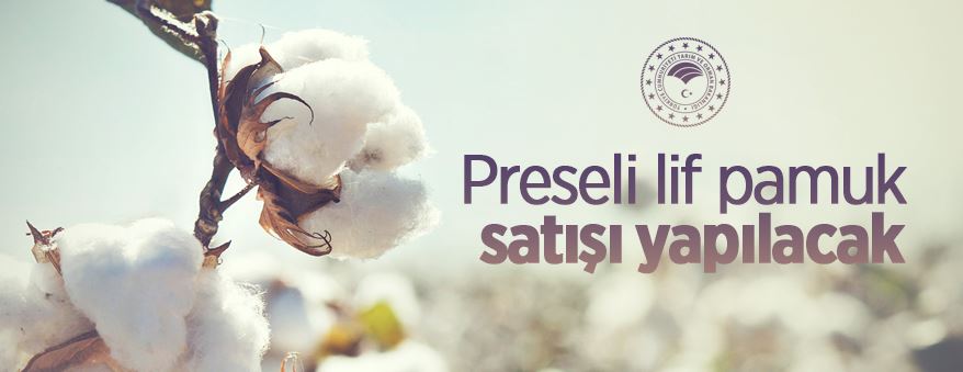 Preseli lif pamuk satışı yapılacak