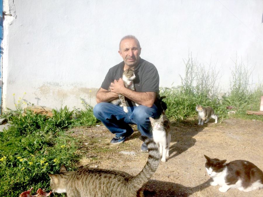Ulaş'ta sokak kedilerini besleyen esnaf çevresine örnek oluyor