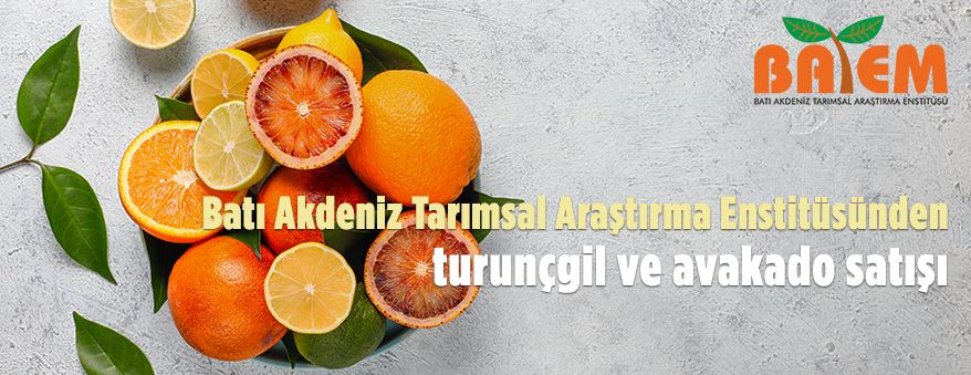 Batı Akdeniz Tarımsal Araştırma Enstitüsü Müdürlüğünden meyve satışı